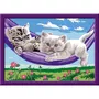 Ravensburger 25828 Kit de pintura por números Gatitos en la hamaca 18 x 24 cm para 9 años en adelante