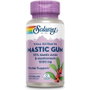 SOLARAY Mastic Gum 1000mg 45 Cápsulas Vegetales