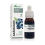 Soria Natural Extracto de Árandano Fórmula XXI 50 ml