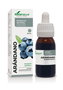 Soria Natural Extracto Arándano Fórmula XXI 50 ml