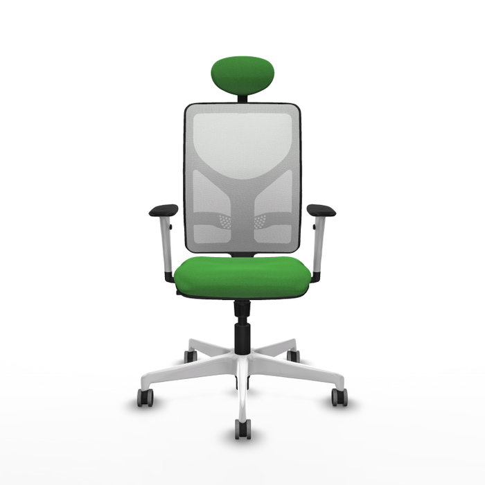 PIQUERAS Y CRESPO Silla de oficina Motilla con mecanismo Sincro, Verde y Blanco