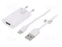 GOOBAY Alimentador de Impulso 5W con Salida USB y USB C, Blanco