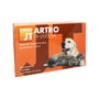 JT Pharma Artro Pharma 60 Comprimidos