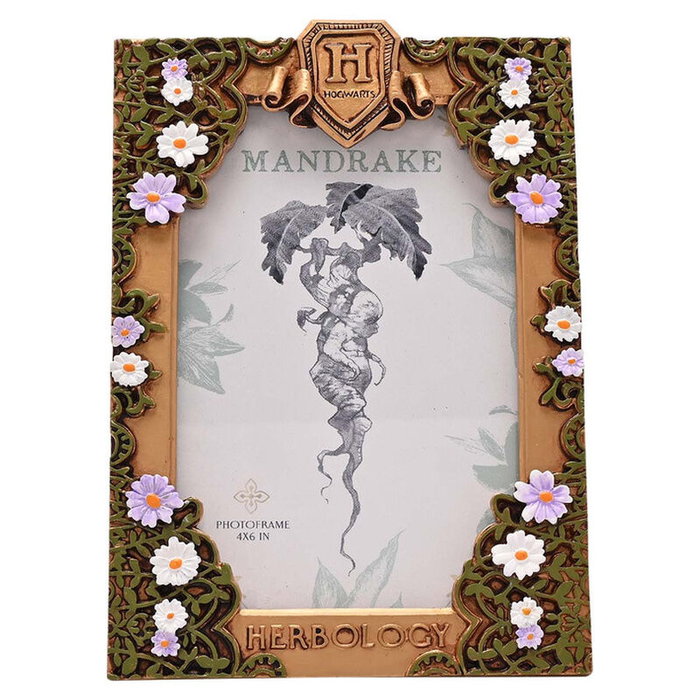 WIDDOP & CO Marco de Fotos Herbología Harry Potter, Decoración Floral, 13 x 8 x 18.5 cm