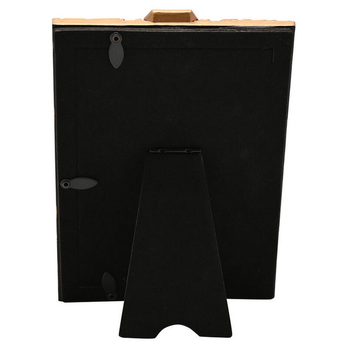 WIDDOP & CO Marco de Fotos Herbología Harry Potter, Decoración Floral, 13 x 8 x 18.5 cm