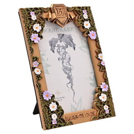 WIDDOP & CO Marco de Fotos Herbología Harry Potter, Decoración Floral, 13 x 8 x 18.5 cm
