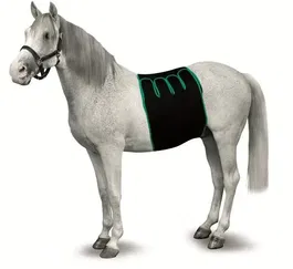 kruuse Vendas de Recuperación Equina Talla S