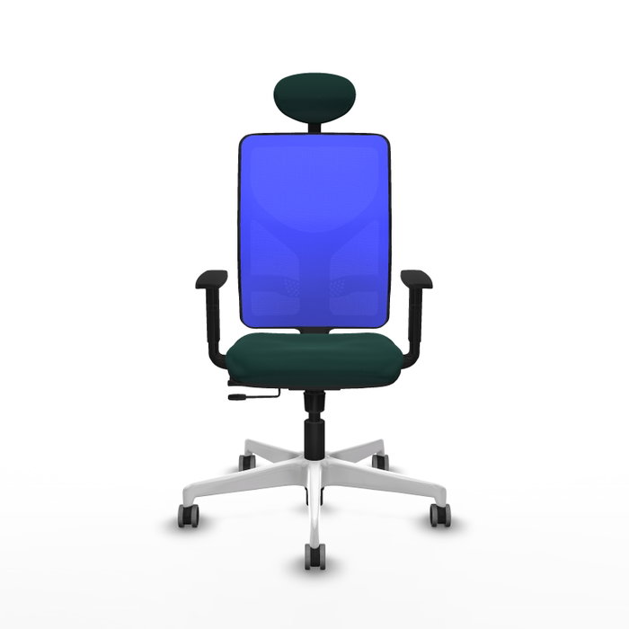 PIQUERAS Y CRESPO Silla de oficina Motilla con mecanismo Sincro/Traslack, Verde botella y Azul