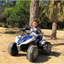 Injusa Quad Rage con batería de 12V y luces