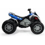Injusa Quad Rage con batería de 12V y luces