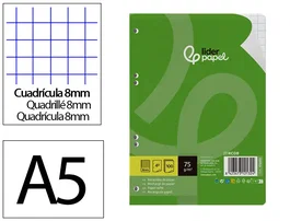 Liderpapel Recambio A5 100 Hojas Cuadro 8mm con Margen y 6 Taladros