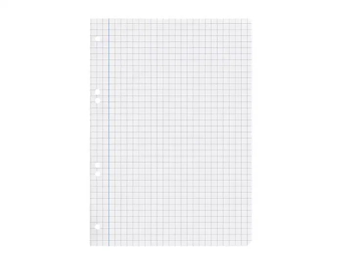 Liderpapel Recambio A5 100 Hojas Cuadro 8mm con Margen y 6 Taladros