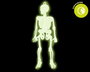 Figuras Esqueleto 16 cm Glow In The Dark Pack 6 Unidades - Decoración Halloween