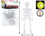 Figuras Esqueleto 16 cm Glow In The Dark Pack 6 Unidades - Decoración Halloween