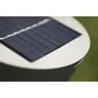 AUCUNE Lámpara solar de caña corta, 30 lúmenes, blanco