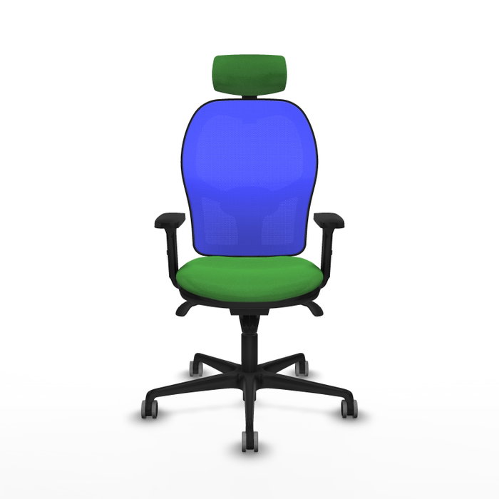 PIQUERAS Y CRESPO Silla de oficina Jorquera con mecanismo Sincro, tela Verde y malla Azul PIQUERAS Y CRESPO Silla de oficina Jorquera con mecanismo Sincro, tela Verde y malla Azul