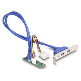 DeLOCK Convertidor M.2 Key B+M a 2 x USB 5 Gbps Tipo-A con cable de 50 cm