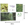 Archivo 2000 Expositor Mural A3 Horizontal Premium con Adhesivo