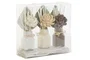 DKD Home Decor Set de 3 Plantas Shabby Flor Seca Cerámica Blanco Beige 8 x 20 x 21 cm