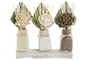 DKD Home Decor Set de 3 Plantas Shabby Flor Seca Cerámica Blanco Beige 8 x 20 x 21 cm
