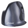 Evoluent Evoluent D Small Wireless Negro