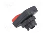SCHNEIDER ELECTRIC Interruptor Doble Rojo/Verde 22mm Harmony XB5