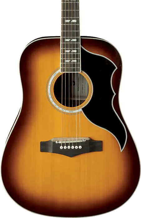 EKO Guitarra Acústica Dreadnought Ranger 6 Vr A/E - Honey Burst