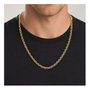 Boss Collar Dorado de Acero Inoxidable 45cm