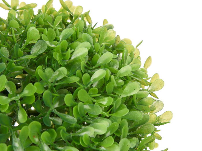 Ibergarden Bola Redonda 22 cm Hojas Verdes Plastico Verde (Set de 8)