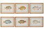 DKD Home Decor Cuadro Cristal Bambú 60x2,2x45 Pez Surtido de 6 unidades