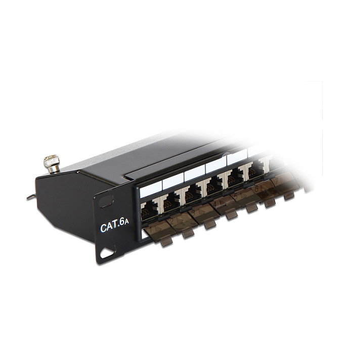 Delock Patchpanel 24 Puertos Cat.6A RJ-45 Montaje en Rack 1U Negro Metal 43320