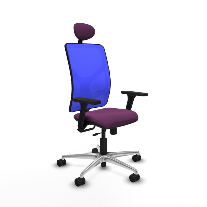 PIQUERAS Y CRESPO Silla de oficina Motilla con mecanismo Sincro/Traslack, Morado y Azul PIQUERAS Y CRESPO Silla de oficina Motilla con mecanismo Sincro/Traslack, Morado y Azul