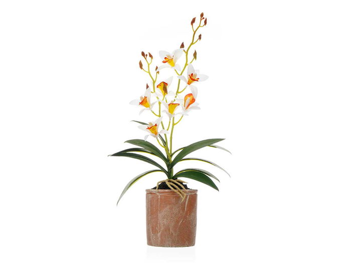 Ibergarden Maceta Terracota Flor Blanca Naranja 10x50x25cm (Set de 6)