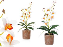 Ibergarden Maceta Terracota Flor Blanca Naranja 10x50x25cm (Set de 6)