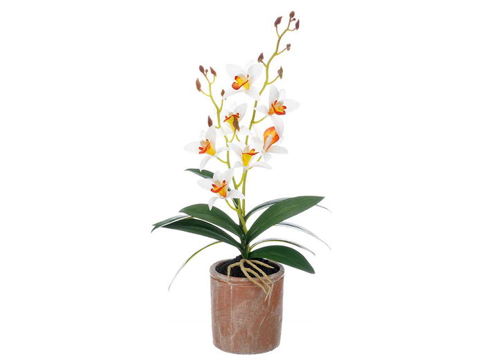 Ibergarden Maceta Terracota Flor Blanca Naranja 10x50x25cm (Set de 6)