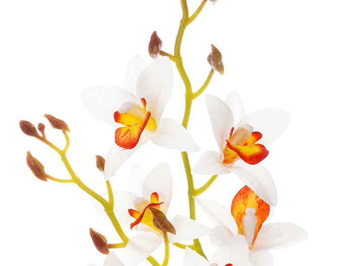 Ibergarden Maceta Terracota Flor Blanca Naranja 10x50x25cm (Set de 6)