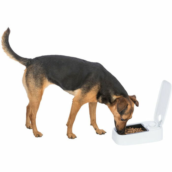 Comedero para Mascotas Trixie Blanco Negro Plástico 300 ml
