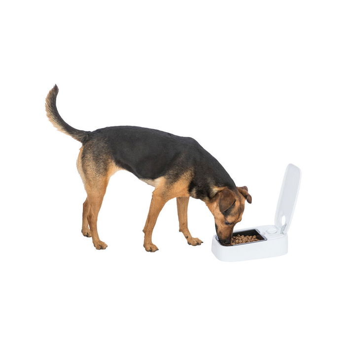 Comedero para Mascotas Trixie Blanco Negro Plástico 300 ml