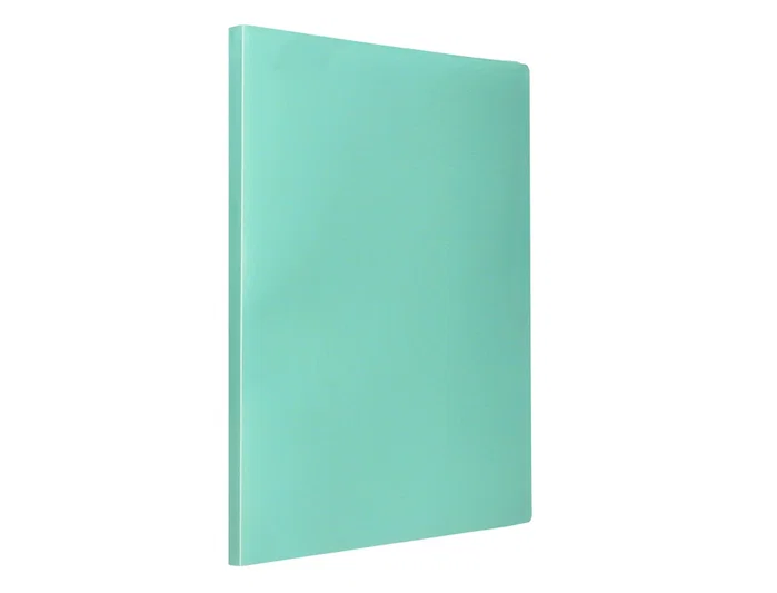 Liderpapel Carpeta con 10 fundas polipropileno DIN A4 verde manzana opaco Liderpapel Carpeta con 10 fundas polipropileno DIN A4 verde manzana opaco