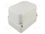 GEWISS Carcasa Universal 44 CE Gris con Tapones
