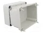 GEWISS Carcasa Universal 44 CE Gris con Tapones