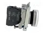 SCHNEIDER ELECTRIC Lámpara de control Harmony XB4 ZBVM 22mm