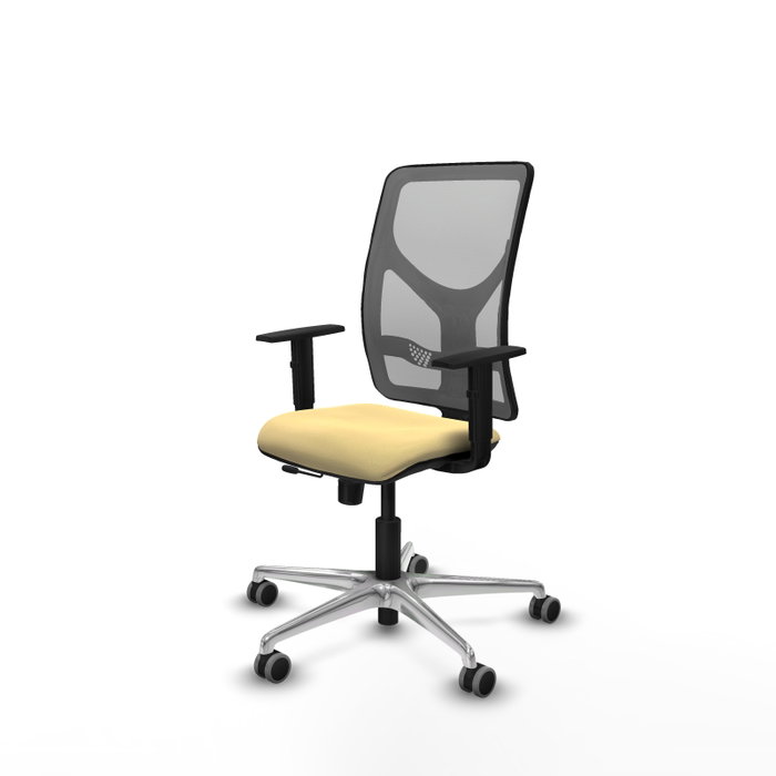 PIQUERAS Y CRESPO Silla de Oficina Motilla con Mecanismo Sincro/Traslack, Crema y Gris PIQUERAS Y CRESPO Silla de Oficina Motilla con Mecanismo Sincro/Traslack, Crema y Gris