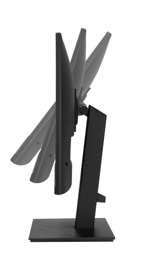 Asus VA27AQ Monitor Profesional 27 pulg QHD IPS 75Hz Negro