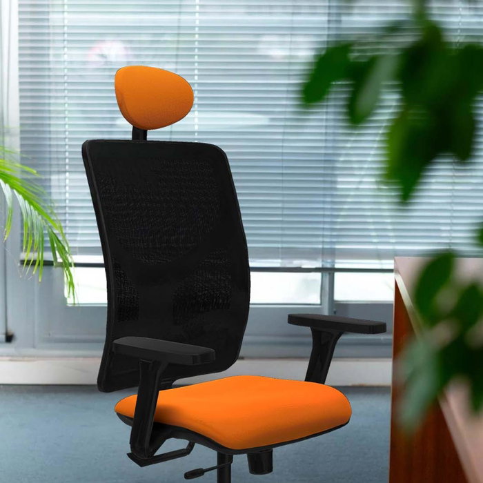 PIQUERAS Y CRESPO Silla de oficina Motilla con mecanismo Sincro/Traslack, Azul claro y Gris PIQUERAS Y CRESPO Silla de oficina Motilla con mecanismo Sincro/Traslack, Azul claro y Gris