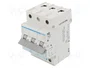 HAGER Interruptor magnetotérmico MCN 3 polos 6A 6kA