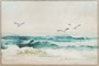 DKD Home Decor Cuadro Lienzo Playa Gaviotas Pack de 2