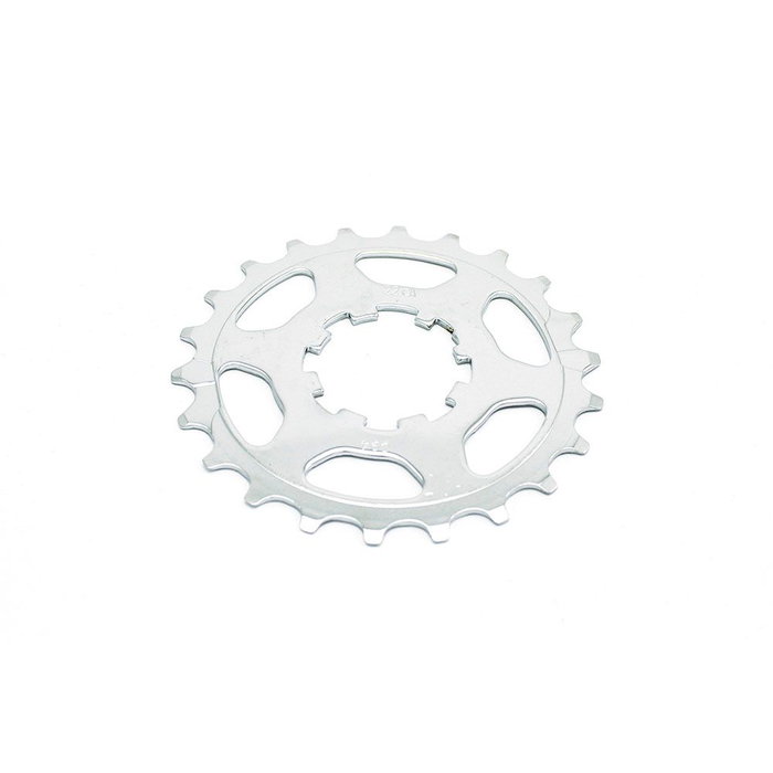 Corona Miche 10v Campagnolo Polivalente 24 Dientes Acero Transmisión Corona Miche 10v Campagnolo Polivalente 24 Dientes Acero Transmisión