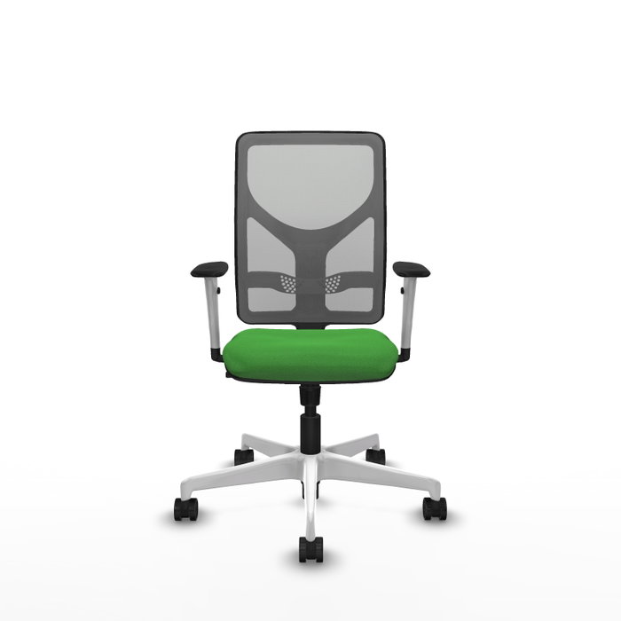 PIQUERAS Y CRESPO Silla de oficina Motilla con mecanismo Sincro, Verde y Gris PIQUERAS Y CRESPO Silla de oficina Motilla con mecanismo Sincro, Verde y Gris