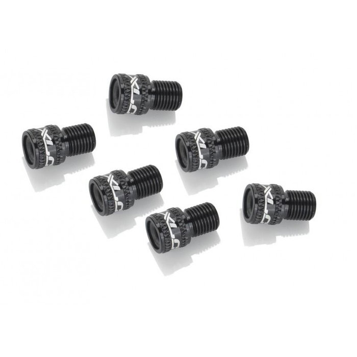 XLC Boquilla Adaptador de AV (Bomba) a DV/SV Negro (10 unidades) XLC Boquilla Adaptador de AV (Bomba) a DV/SV Negro (10 unidades)